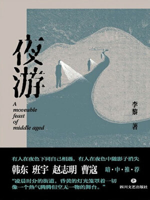 cover image of 夜游